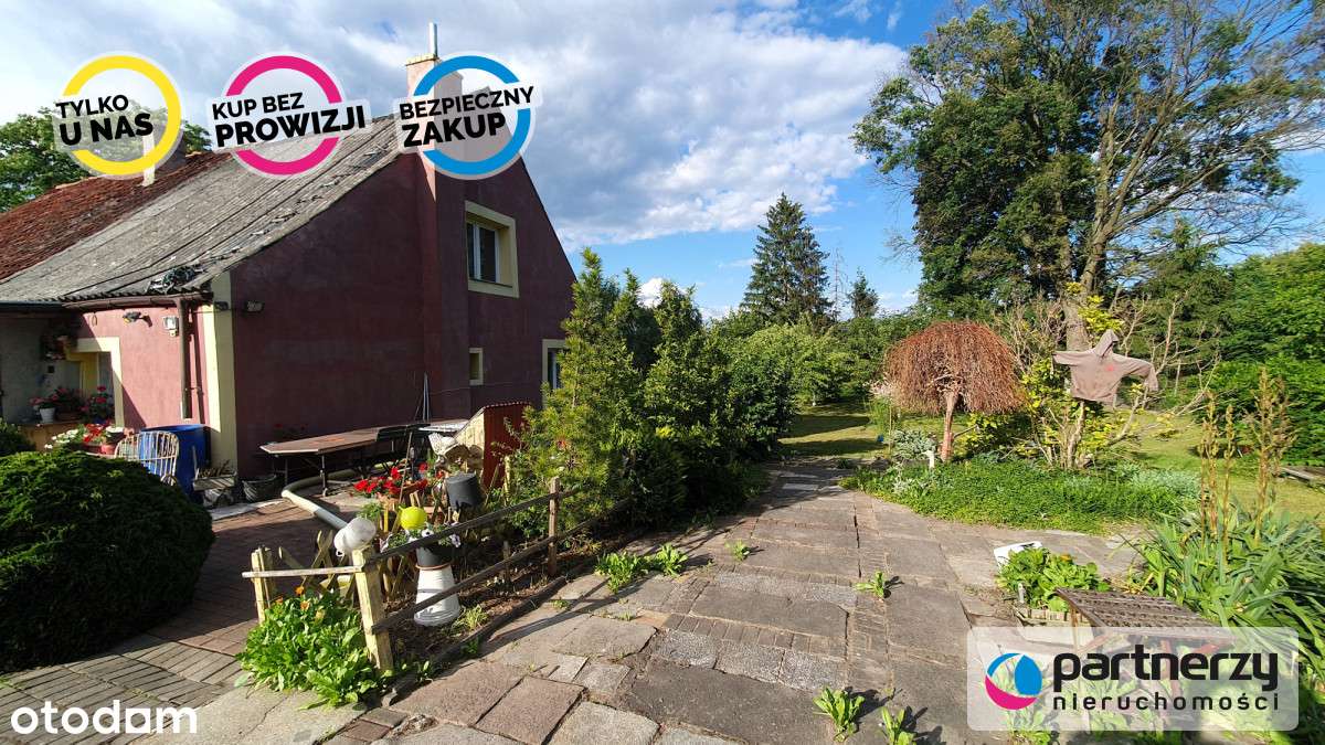 Bliźniak z dużą działką, możliwy odkup domu obok. - Pełny obrazek: 4/12