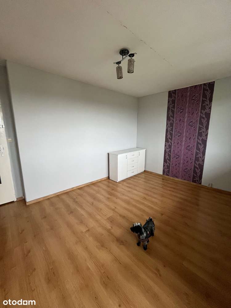 Trzypokojowe, przestronne i ciche, dostępne od zaraz-Bezpośrednio!-9