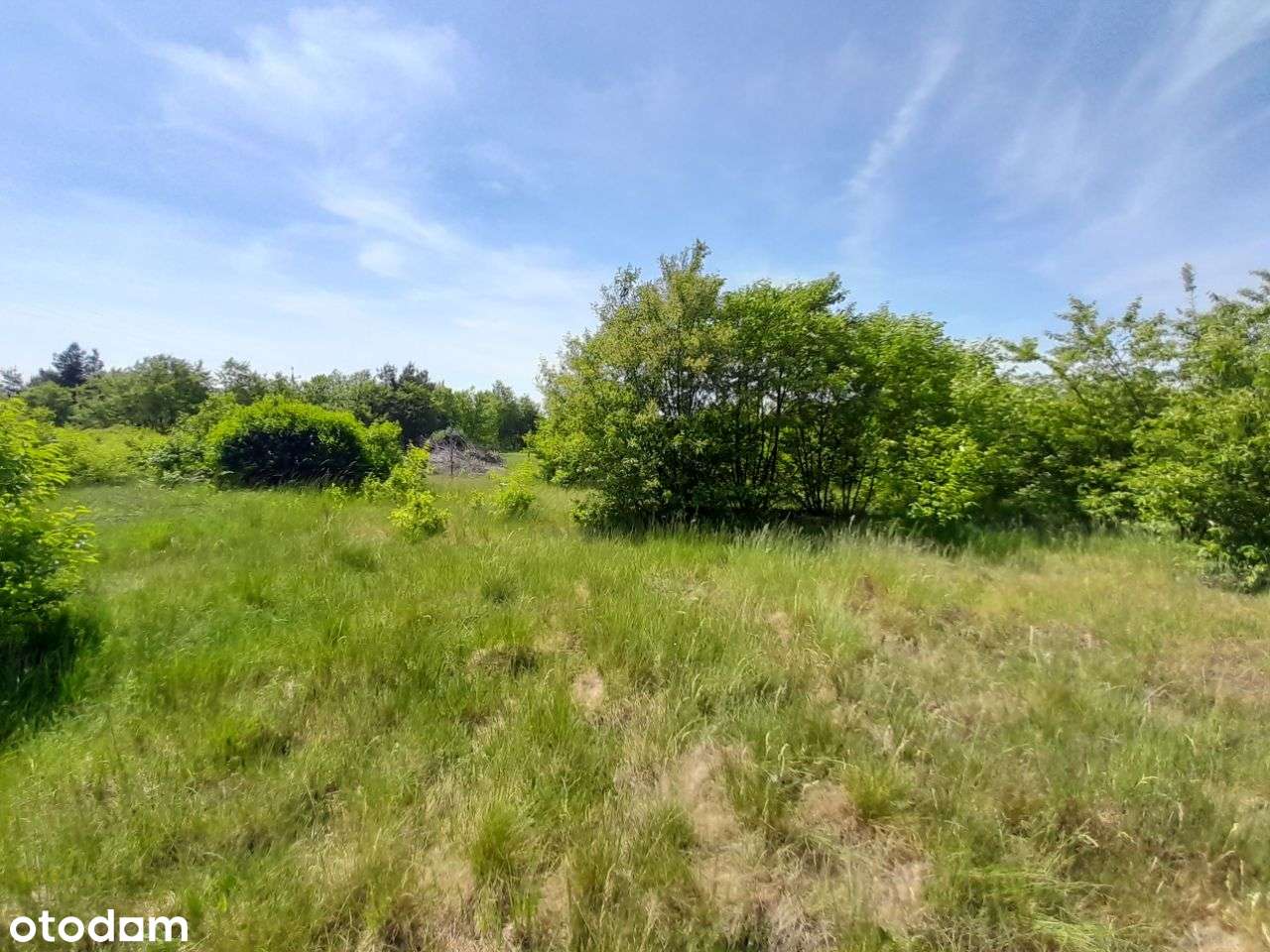 Sprzedam dużą działkę w Żarkach - 18,5a !!!-6