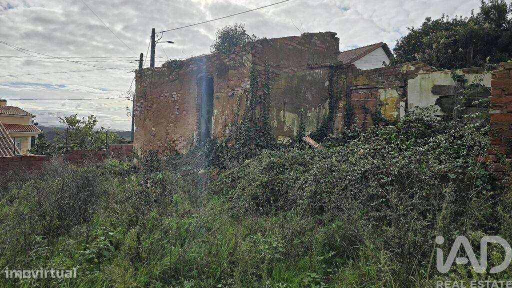 Terreno para construção em Bombarral e Vale Covo - Grande imagem: 4/12