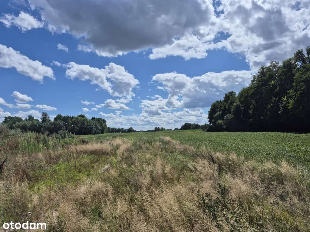 102/18292/OGS - Pełny obrazek: 4/19