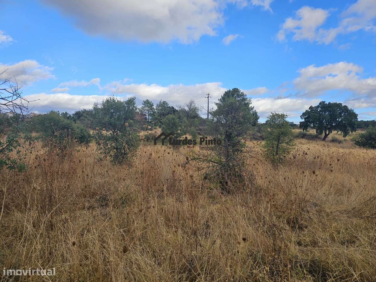 Quintinha com sobreiros-3