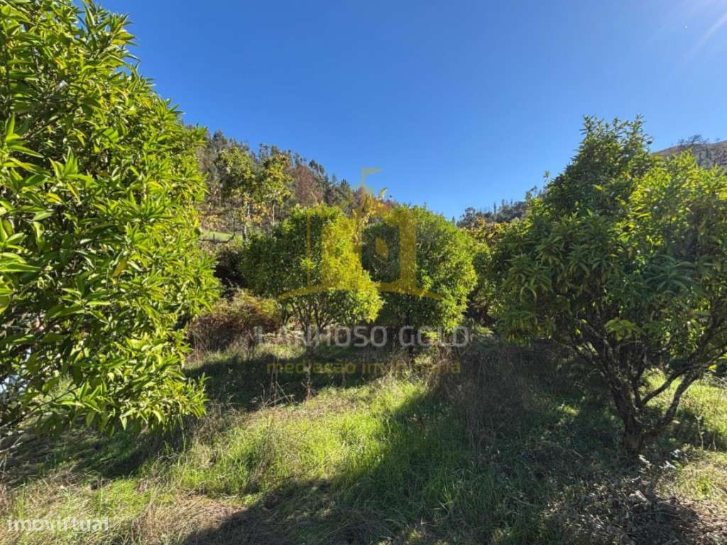 Terreno Agrícola para Venda em Friande, Póvoa de Lanhoso - Grande imagem: 5/16