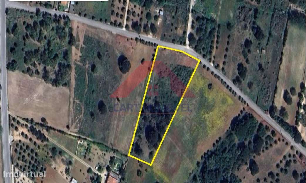 Terreno Rústico  Venda em Vila Chã de Ourique,Cartaxo - Grande imagem: 2/7