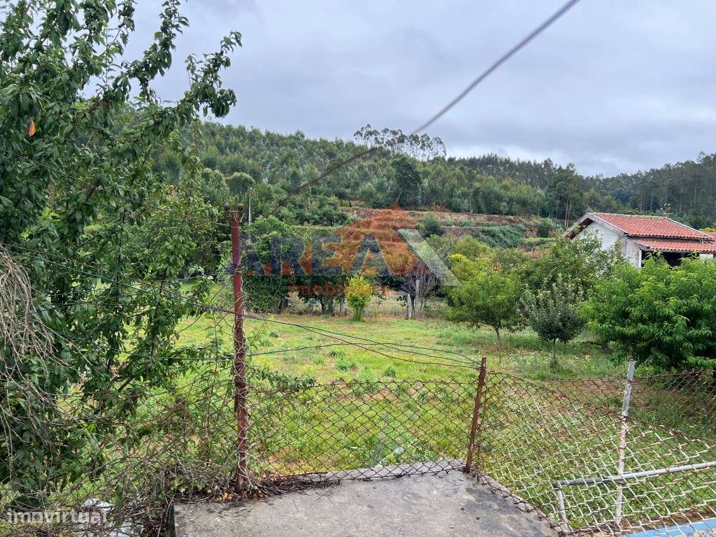 Oportunidade: 2 casas + artigo rústico com 2,0648 ha, perto de Oliv...-27