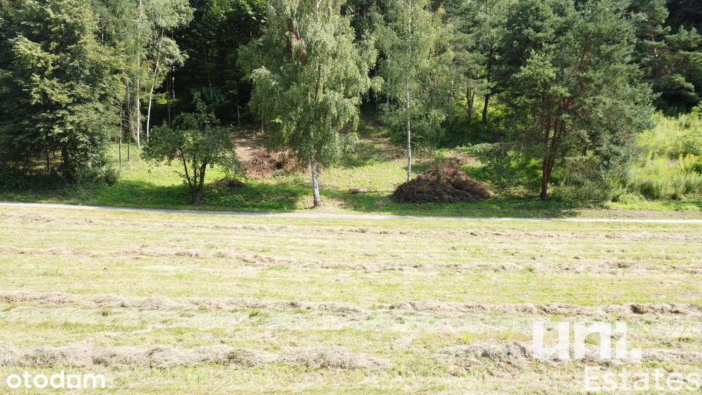 20 arowa działka| Piękna okolica| Cisza - Pełny obrazek: 3/10