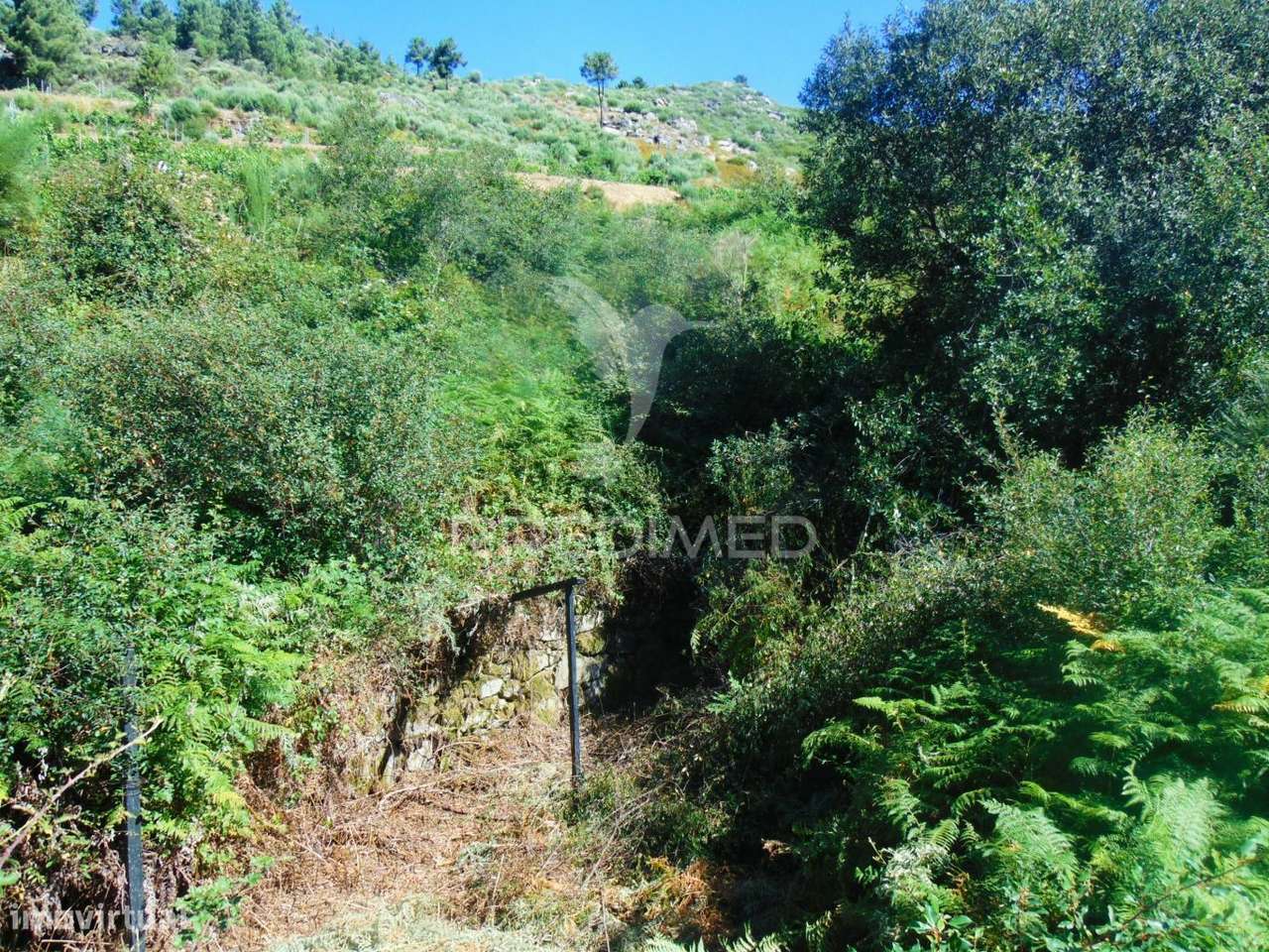 Terreno com 2 Ha junto à E322 em Alijó / Vila Real - Grande imagem: 4/25