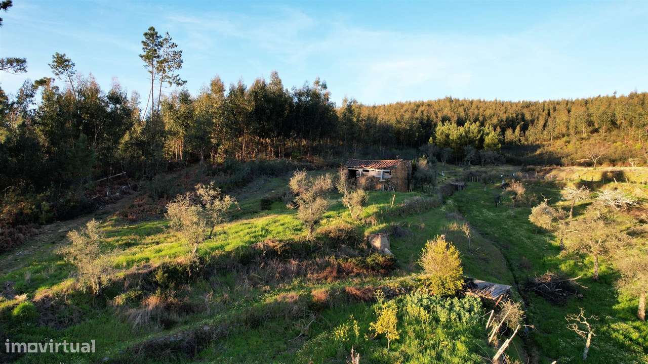 Quinta - Grande imagem: 2/19