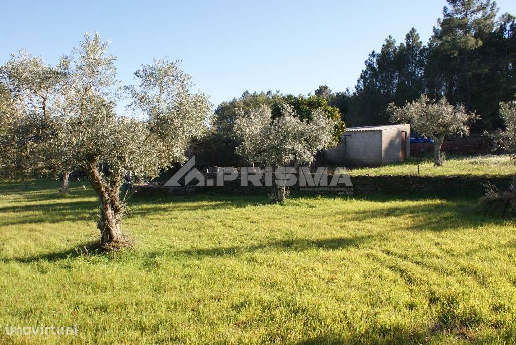 Terreno tipo horta para venda - Grande imagem: 4/8