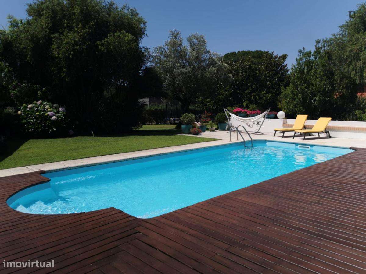 Casa com 1 quartos - localizado em Setubal - Grande imagem: 3/14