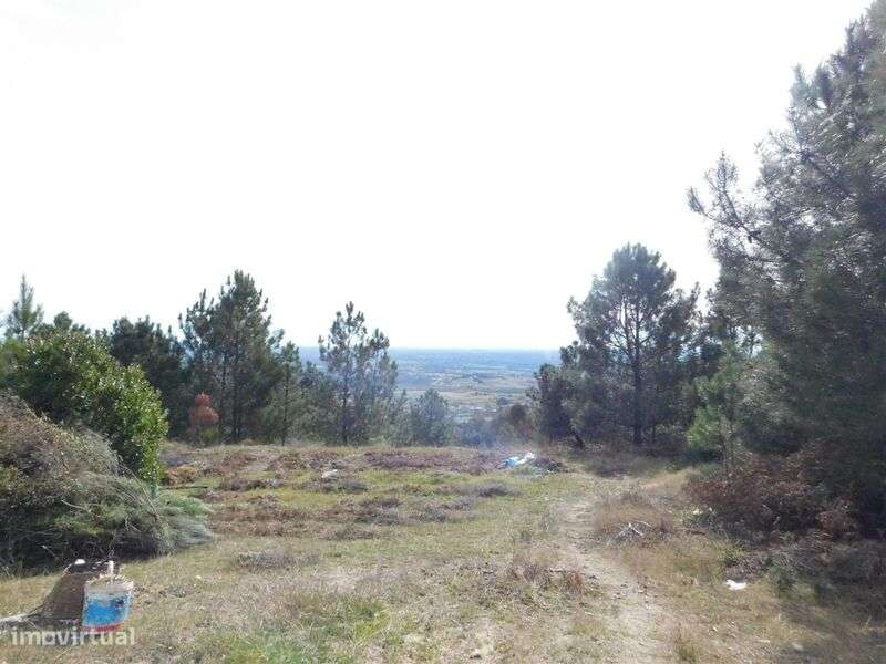 Quinta / Fundão, Póvoa da Palhaça - Grande imagem: 3/15