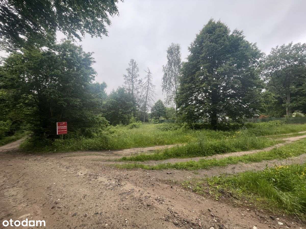 Piękna działka z "oczkiem", w sąsiedztwie zabudowa-5