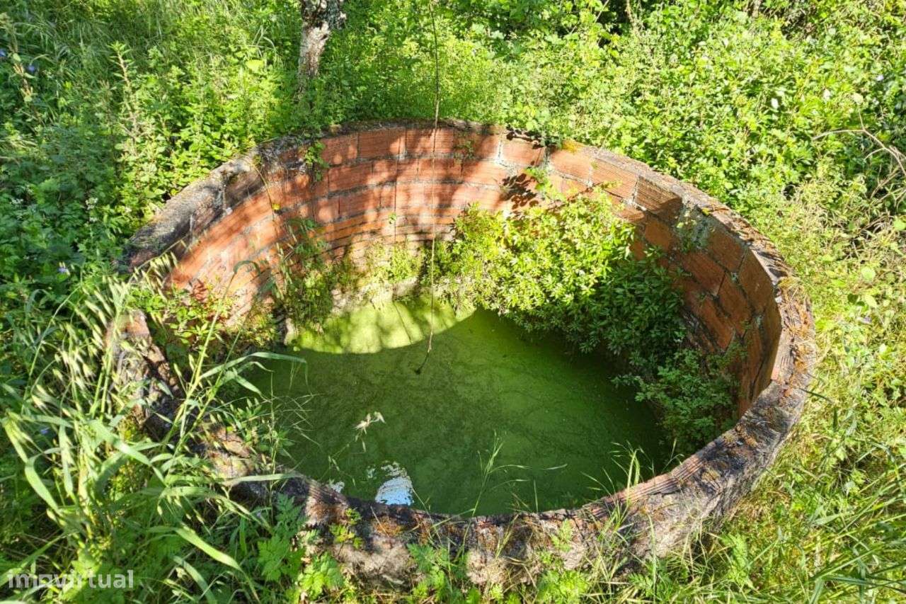 Espaço Térreo em Barcouço, Mealhada | ERA Imobiliária - Grande imagem: 4/7