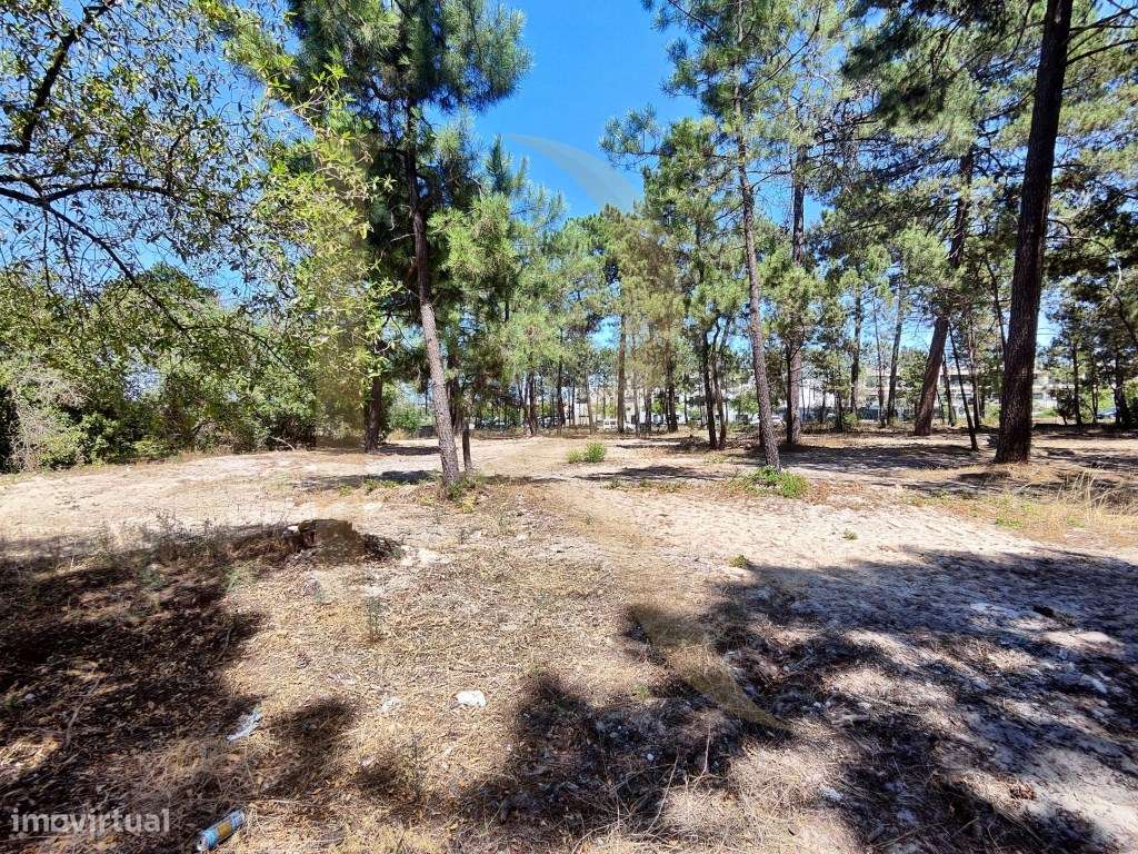 Venda conjunta de 105 lotes de terreno na Urbanização Pinhal de Neg...-11