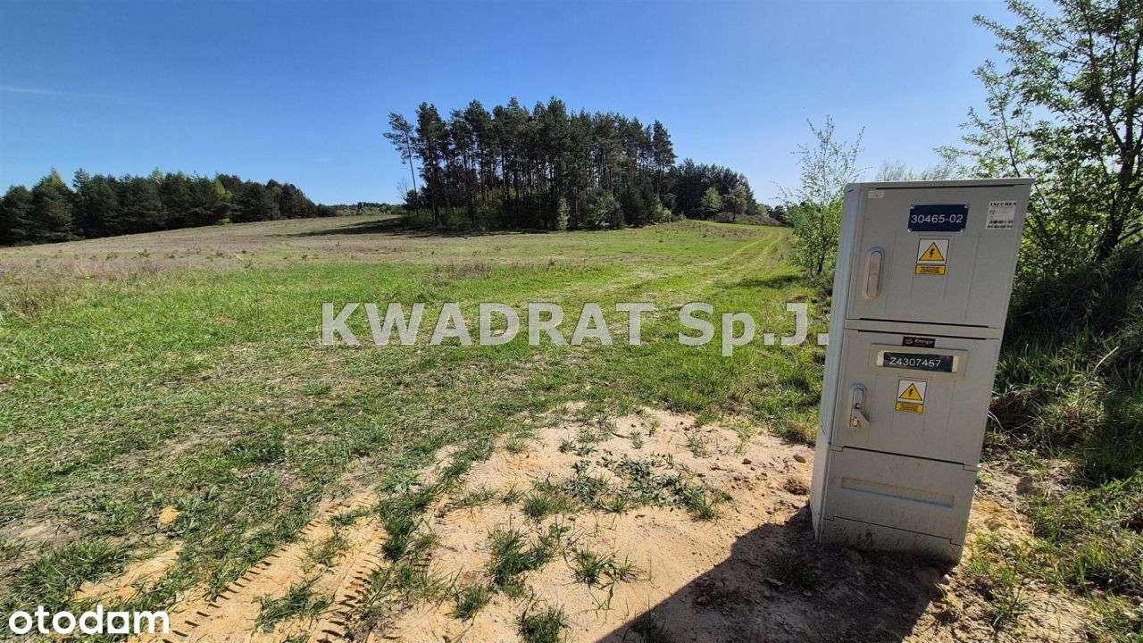 Piękna, duża działka z lasem – Kobyla Góra!!!-8