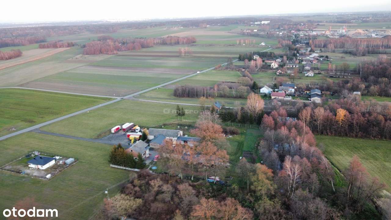 Działka budowlana Prusinowice, gm.Lutomiersk - Pełny obrazek: 5/6