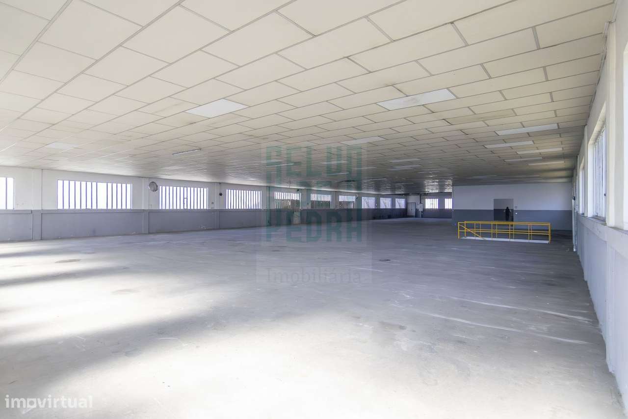 Armazém em S. Romão do Coronado - Grande imagem: 4/22