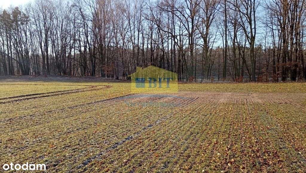 Działka 6066 m2, z dostępem do jeziora Kaleńsko-13