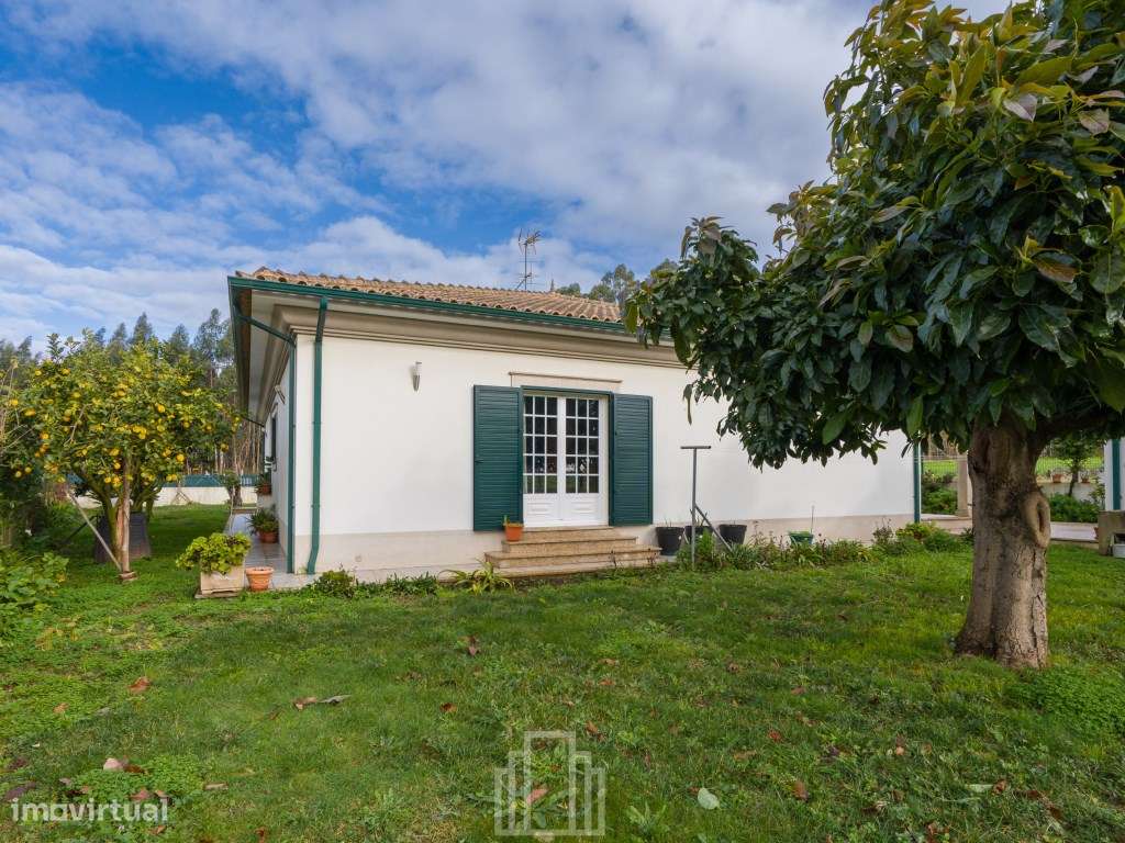 Moradia Isolada - Válega - Grande imagem: 5/27