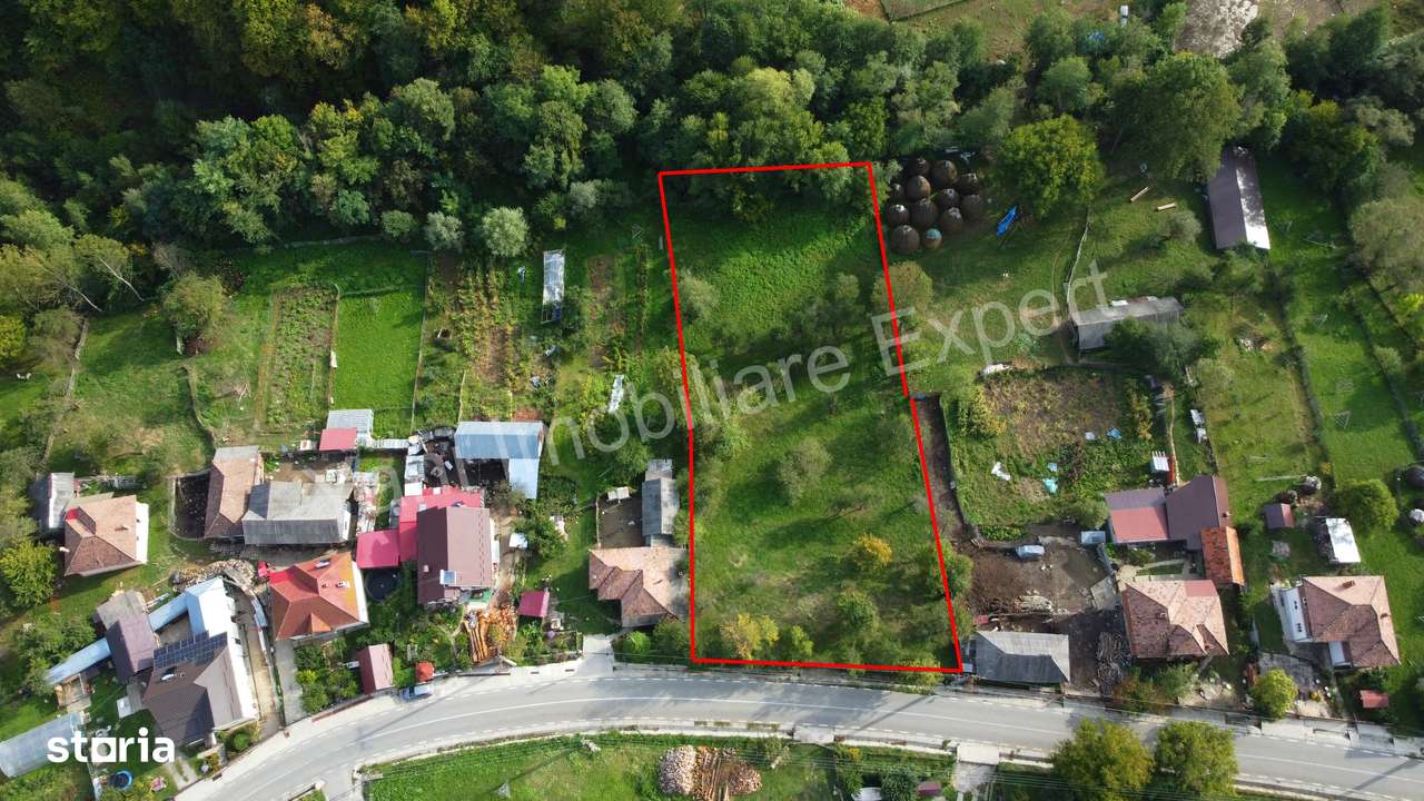 Teren de vânzare în comuna Arefu, județ Argeș.-2