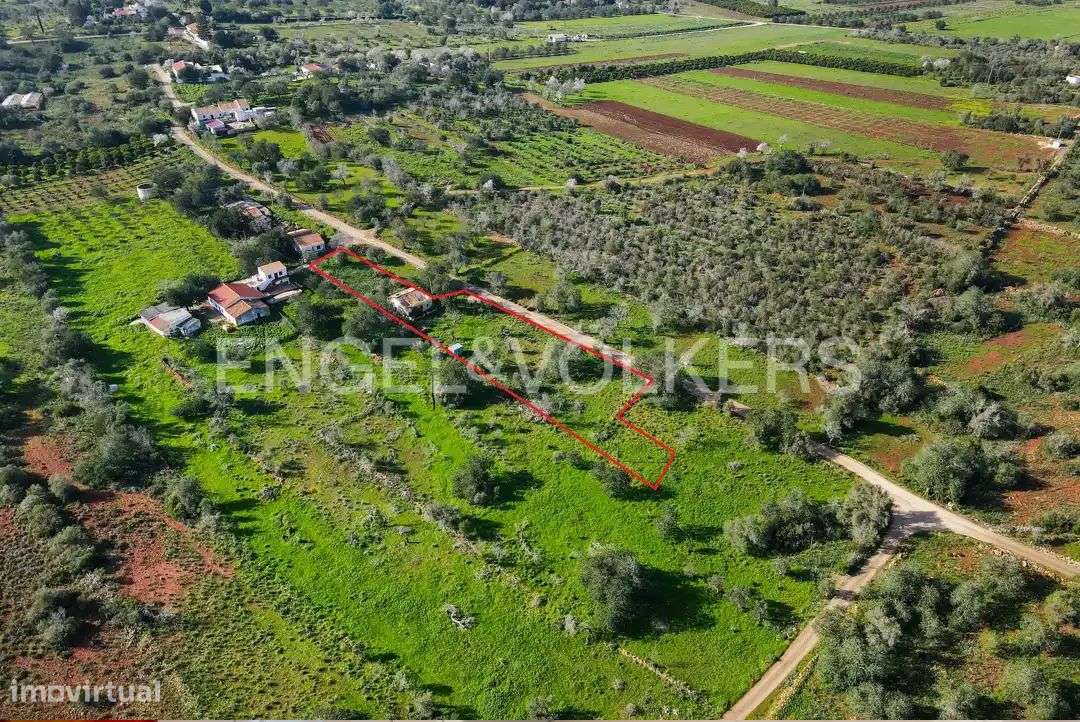 Terreno com ruína para reabilitar e/ou ampliar - Grande imagem: 5/10