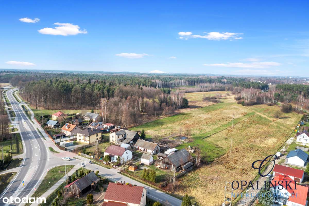 Do zagospodarowania | 88,61 ara | Droga asfalt - Pełny obrazek: 4/6