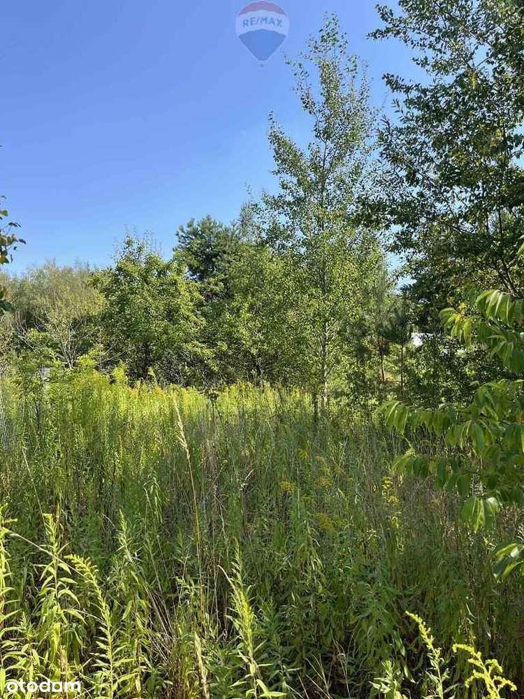 Działka (jeszcze) rolna przy rezerwacie - Pełny obrazek: 5/11