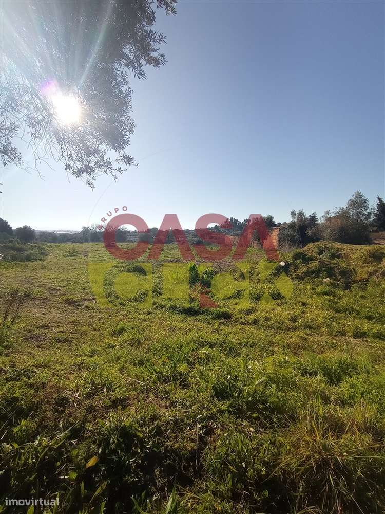 Lote de Terreno T4 Venda em Torres Novas (Santa Maria, Salvador e Sant - Grande imagem: 5/13