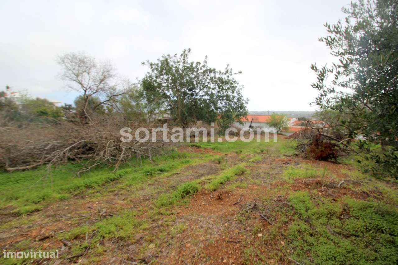 Terreno Para Construção  Venda em Loulé (São Sebastião),Loulé - Grande imagem: 4/4
