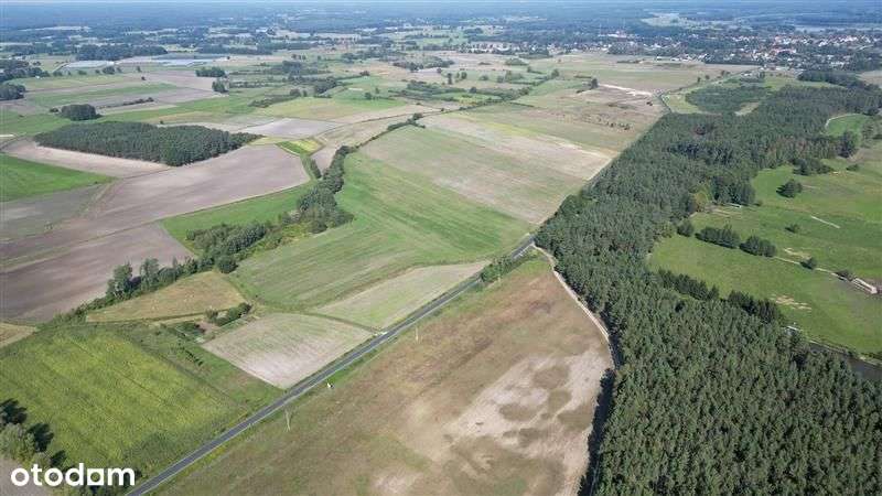 Teren inwestycyjny przy autostradzie A2 – woj. Lub - Pełny obrazek: 5/8