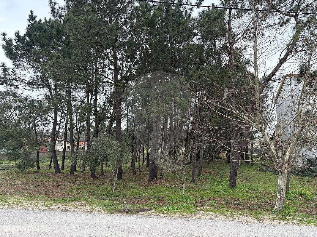 Terreno  para venda - Grande imagem: 4/10