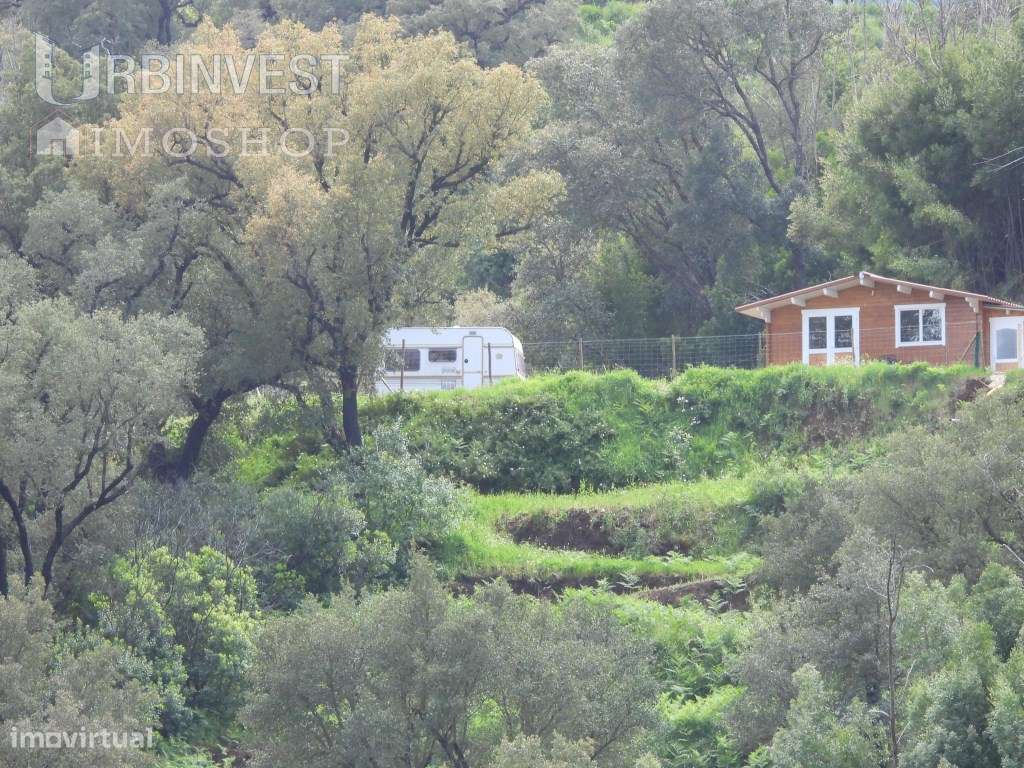 Pequena propriedade rústica, com ribeira e nascente, a seis quilóme... - Grande imagem: 5/7