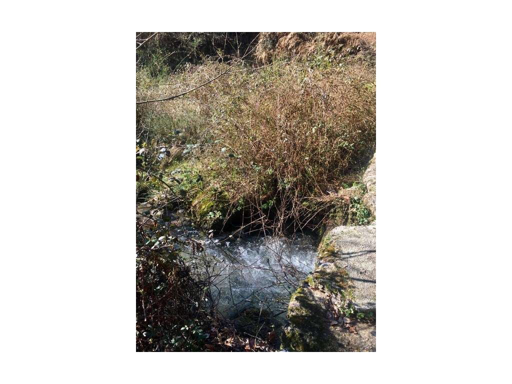 Moinhos Para Recuperar OPORTUNIDADE-2