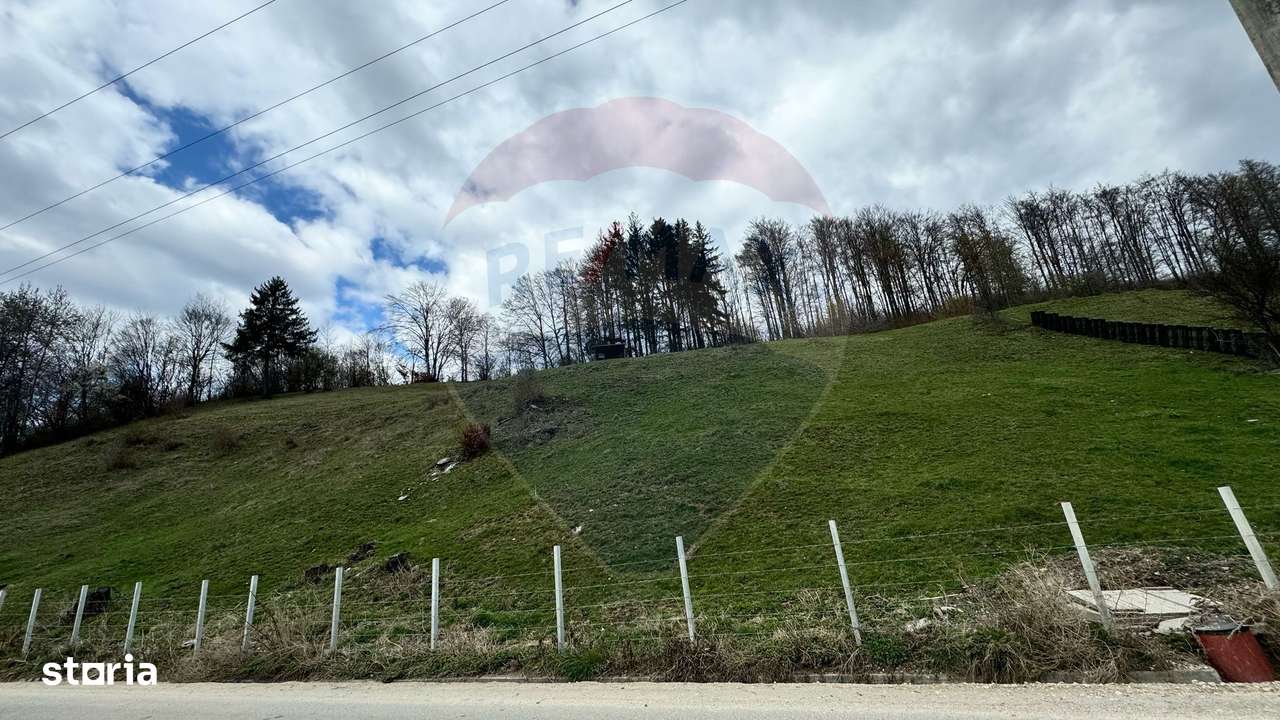 Teren generos, dar ieftin, in Nămăești - Argeș - Imagine principală: 3/12