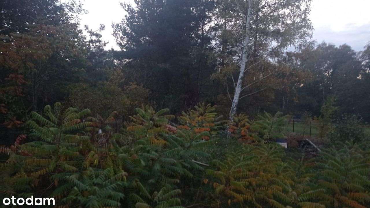 Przestronny Dom ok.137m2.Zielona Okolica - Pełny obrazek: 4/7