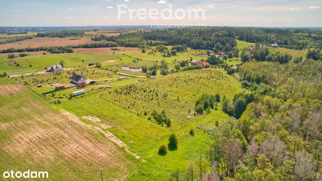 Duża działka o pow. 6035 m², 5km od Ełku. - Pełny obrazek: 5/5