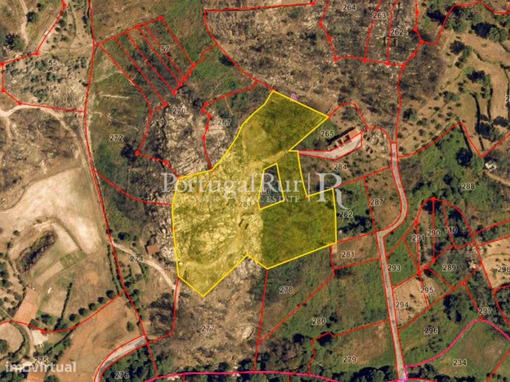 Terreno rústico com 1 hectare em Louriçal do Campo - Grande imagem: 3/12