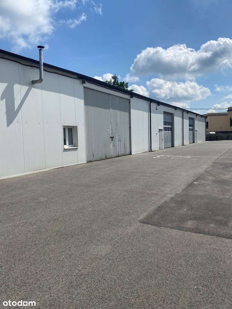 Hala magazynowa o pow. 500 m2 - Sulejówek - Pełny obrazek: 4/13