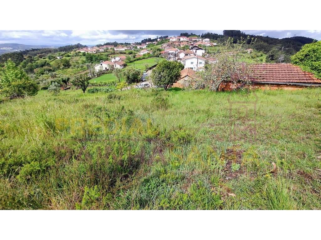 Moradia M2. Anexos-Pátio-Terreno-15 Km Coimbra - Grande imagem: 5/22