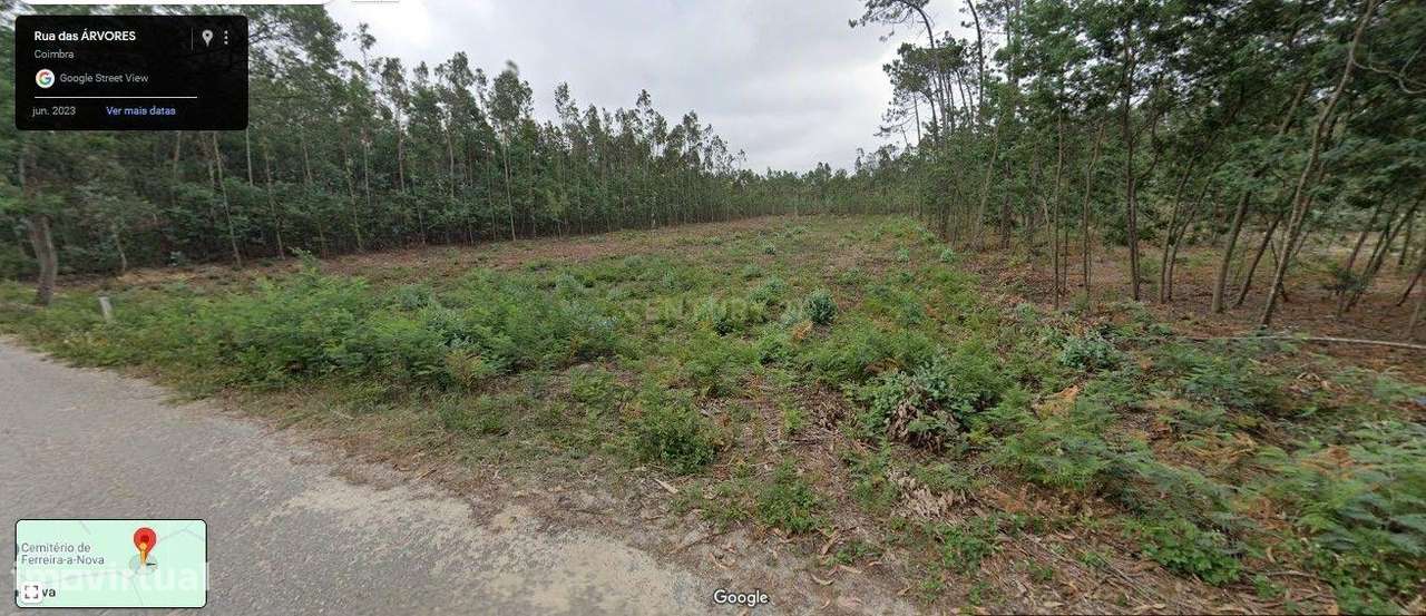 Terreno Rústico - Oportunidade Única por 11.500€ - Grande imagem: 3/7