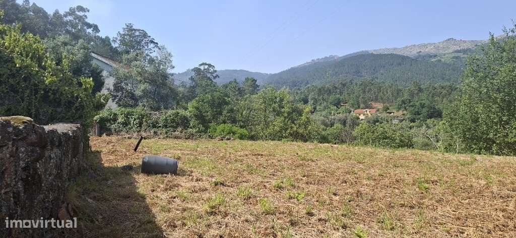 Terreno c/ Sequeira p/ Restauro  - Bouro Santa Marta-17