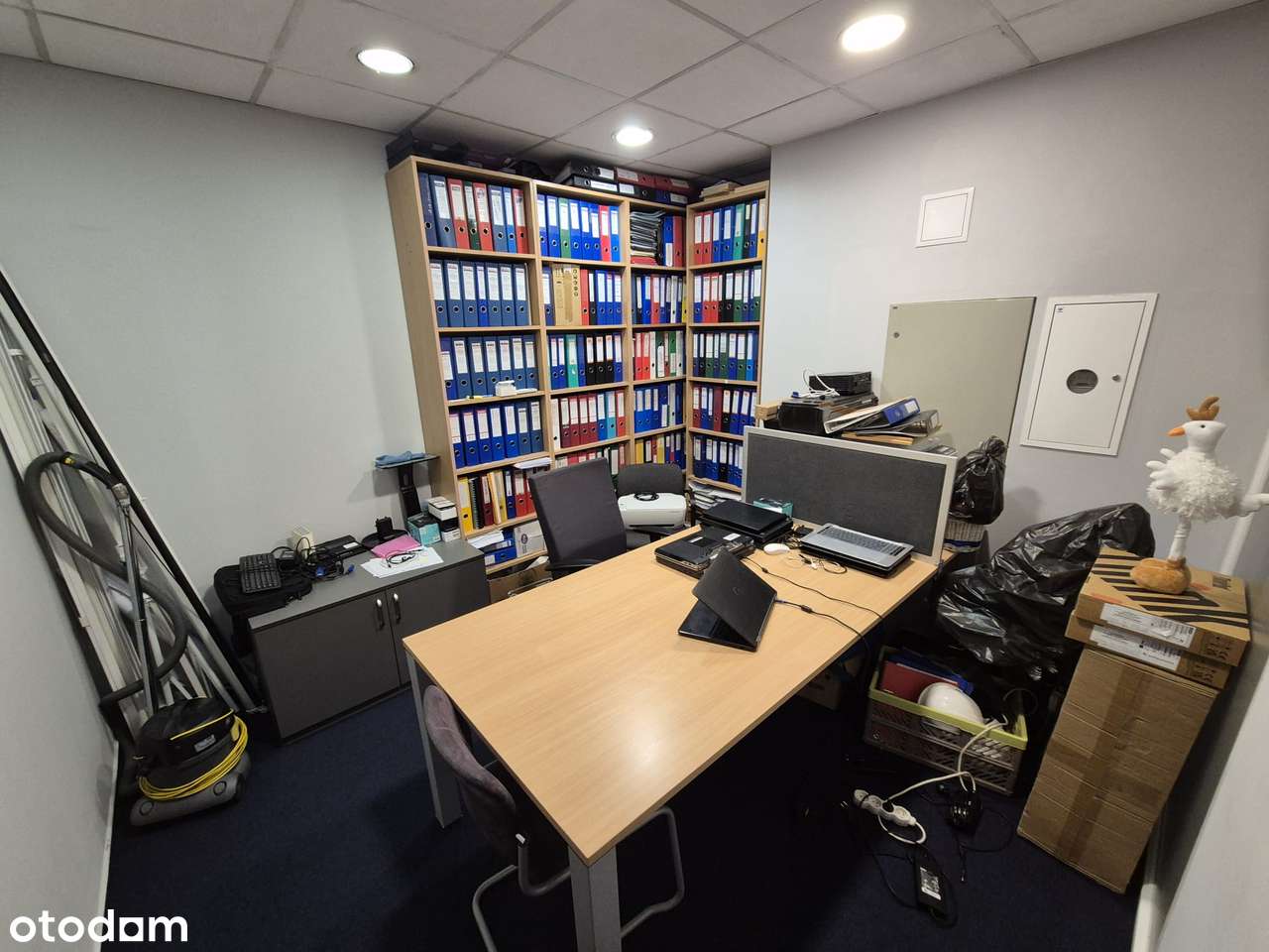 Lokal użytkowy, 65 m², Poznań-3