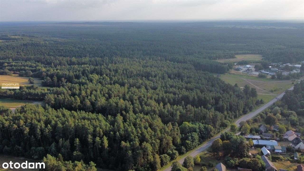 Działki rolne 2,05 ha i leśna 0,43 ha | Długi Kąt - Pełny obrazek: 4/7