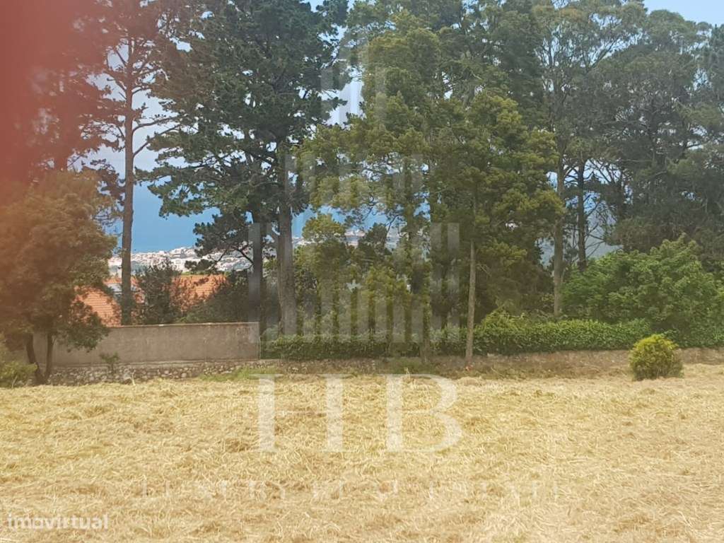 Terreno para Investimento Sintra - Grande imagem: 4/8