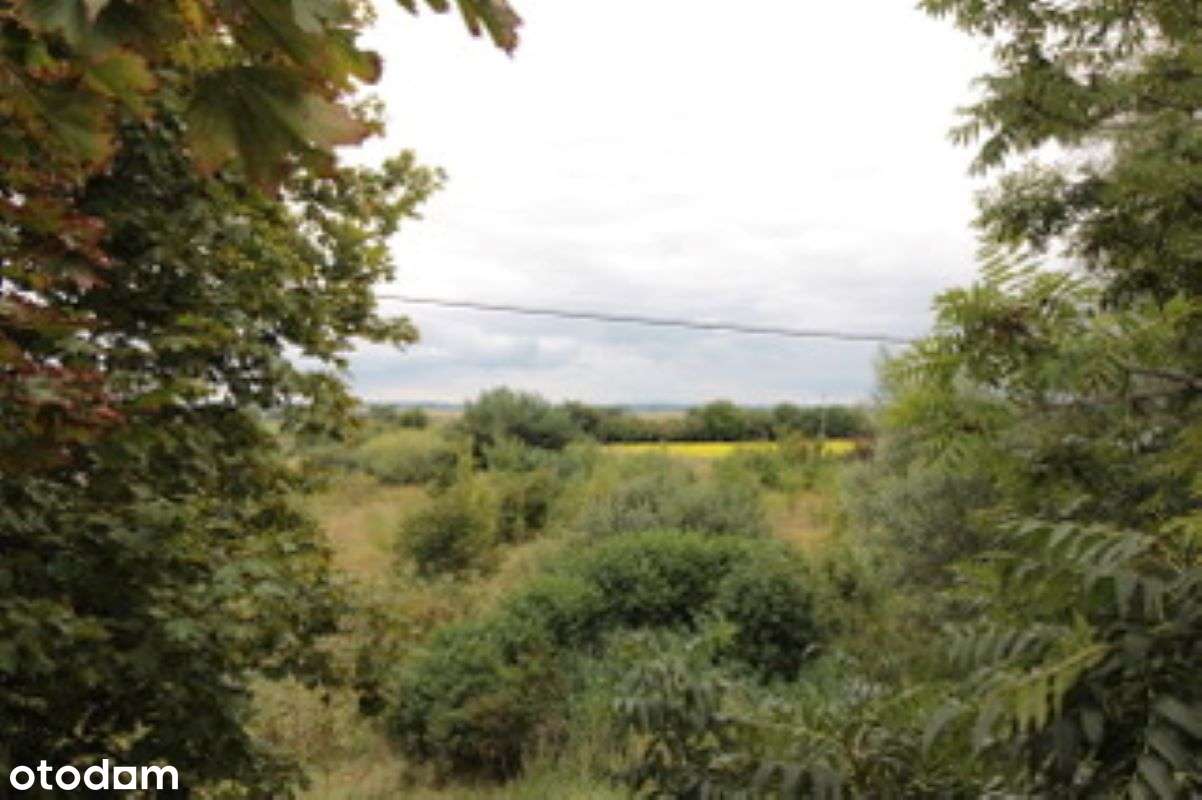 Działka dla dewelopera| Różyny| nowa szkoła| dworzec PKP - Pełny obrazek: 5/7