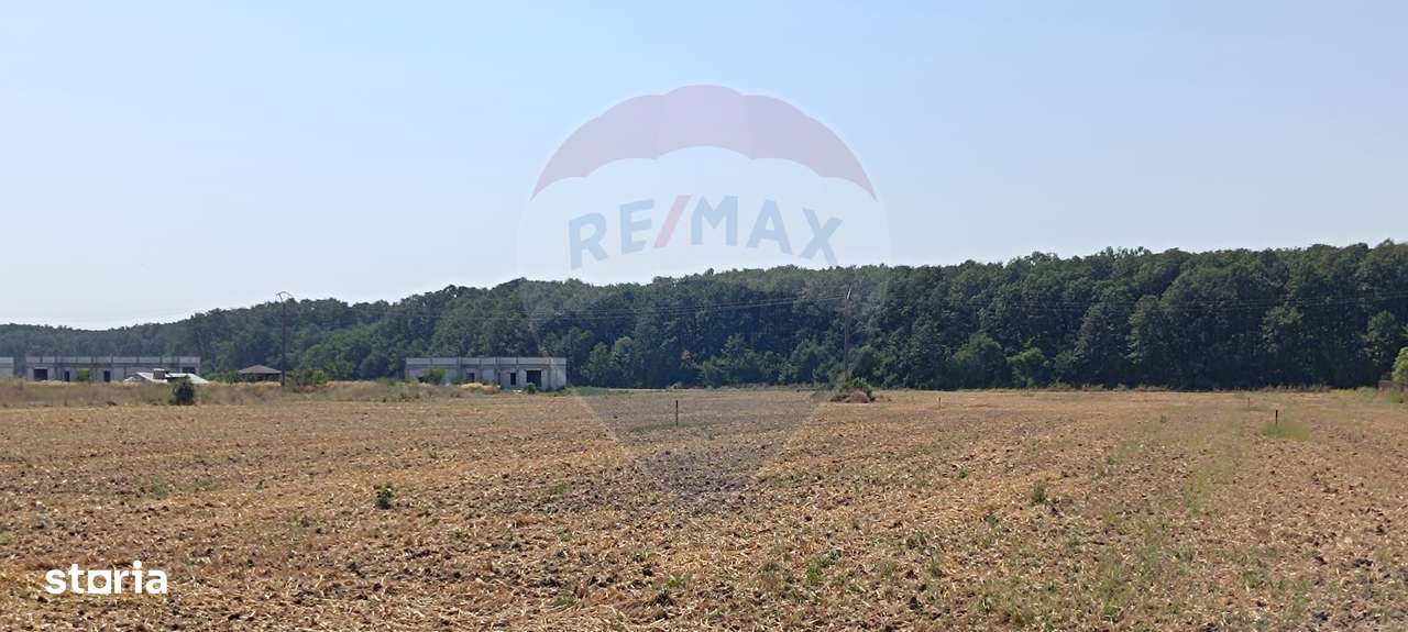 Teren 650mp Ghermanesti / Strada Milcov - Imagine principală: 4/8