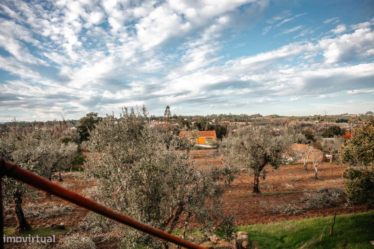 Oportunidade única: conforto, terreno e preço justo-10
