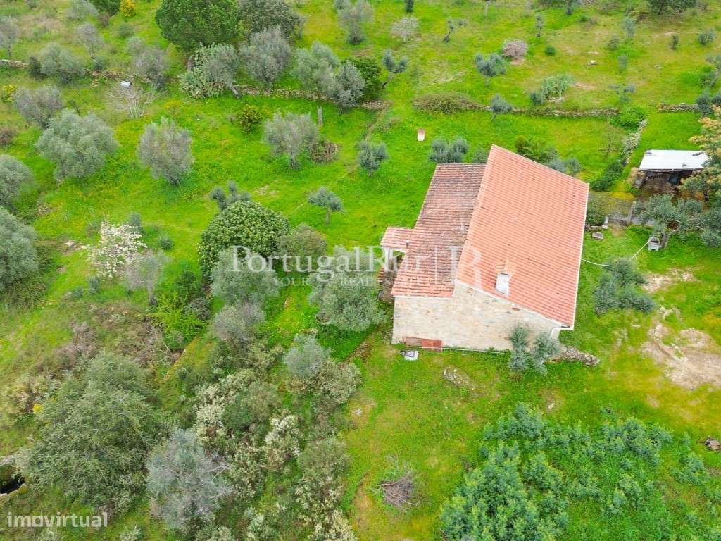 Quintinha de 1,5 ha com Moradia T1 e varias ruínas em Escalos de Baixo - Grande imagem: 2/48