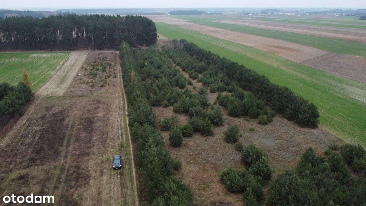 Działka budowlana z lasem-17