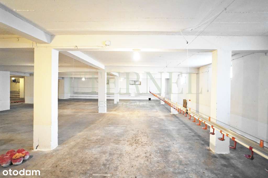 Hala magazynowo-produkcyjna z działką 51 arów-10